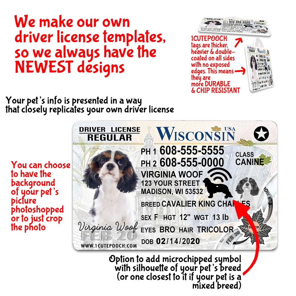 Amazon.com: Wisconsin Driver License Custom Dog Tag for Pets and